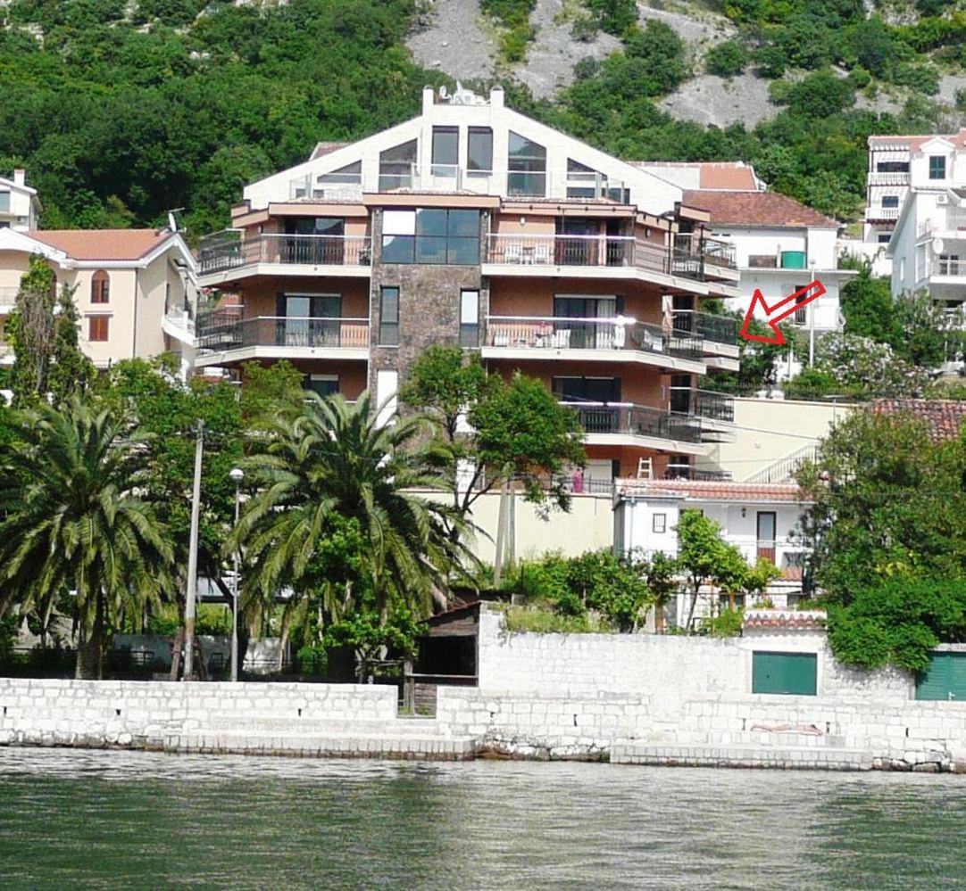 Apartments Coral Kotor Exteriör bild